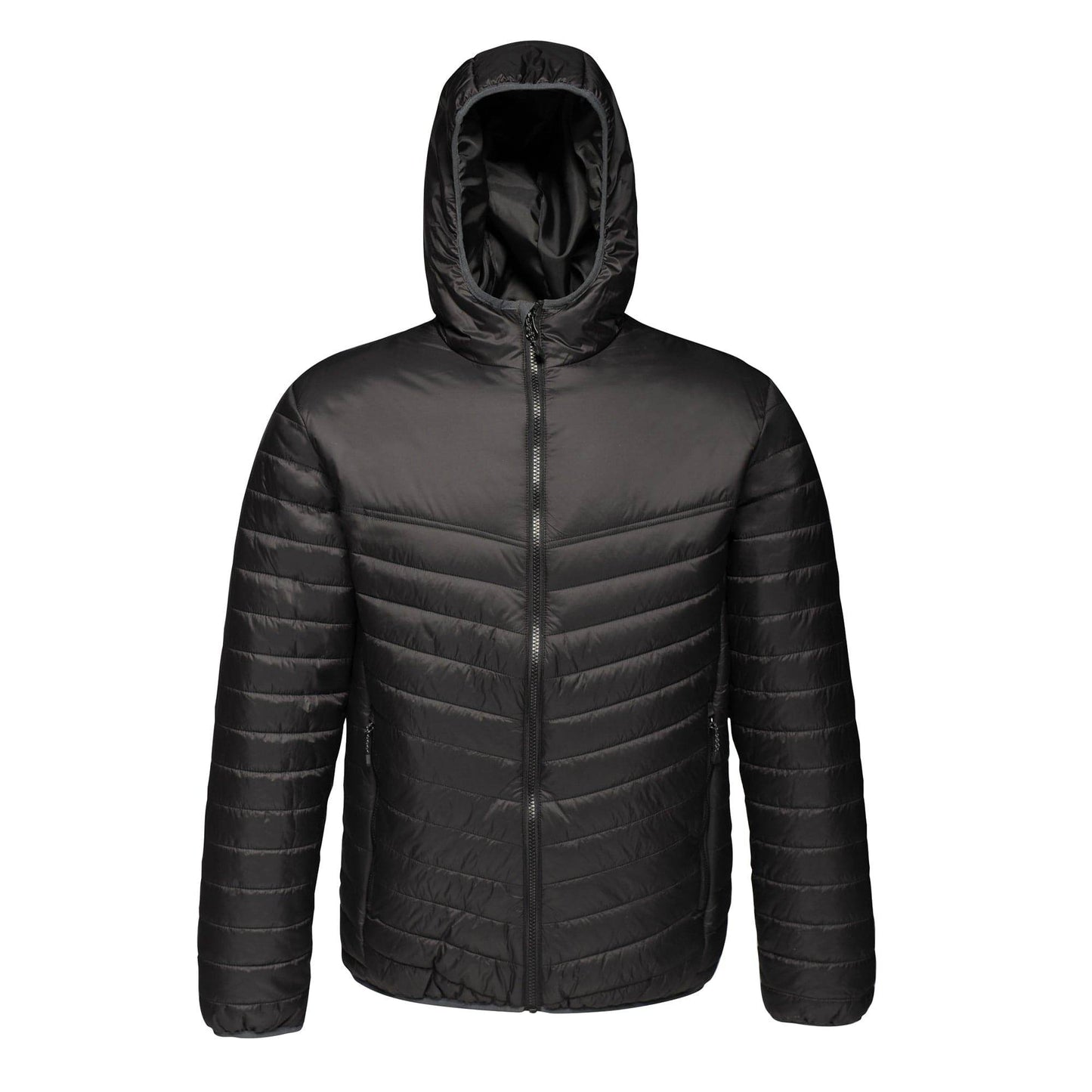Regatta TRA420 Arcadia II Warmloft Down-Touch Jacket