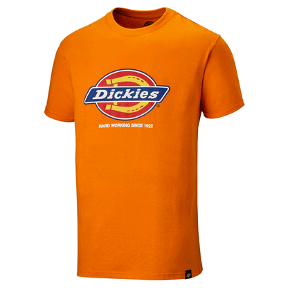 Dickies DT6010 22 Dennison Graphic Logo T-Shirt Various Colours