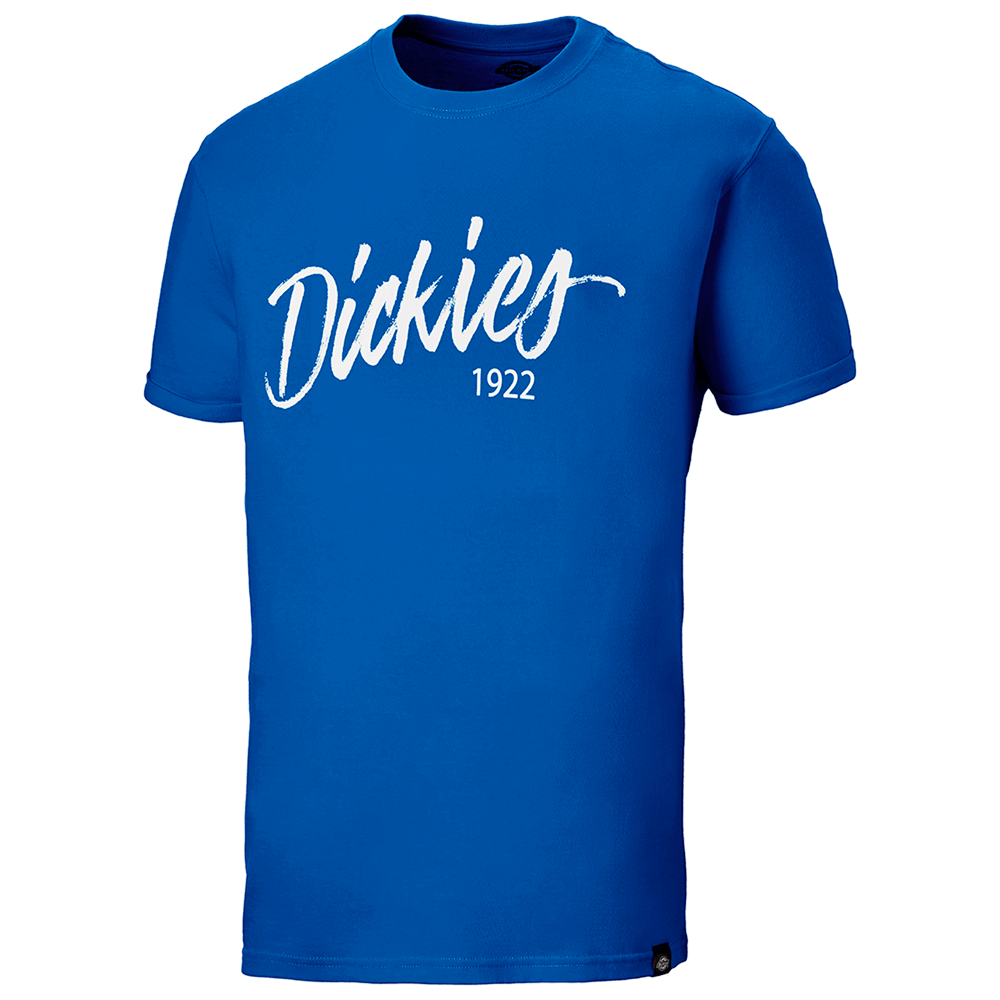 Dickies DT6012 22 Hanston Graphic T-Shirt Various Colours