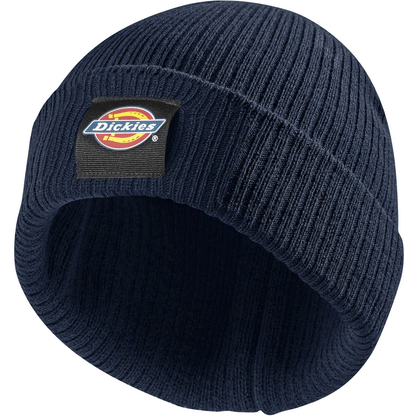 Dickies DT8003 22 Evadale Logo Beanie Various Colours