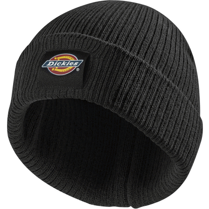 Dickies DT8003 22 Evadale Logo Beanie Various Colours