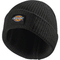 Dickies DT8003 22 Evadale Logo Beanie Various Colours