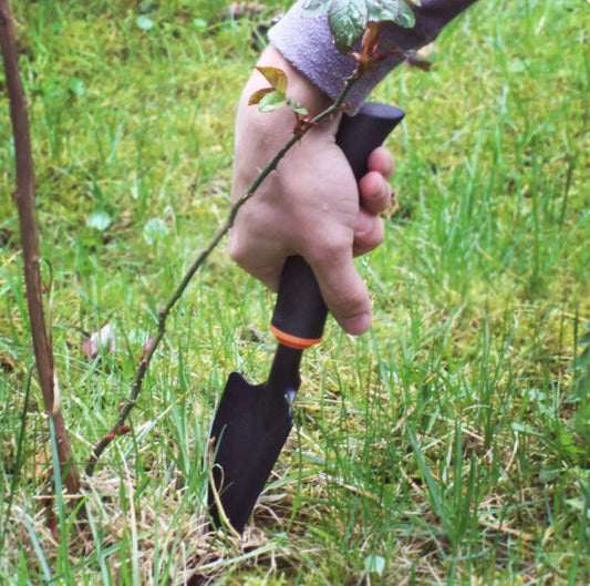 Narrow Spade DE LUXE