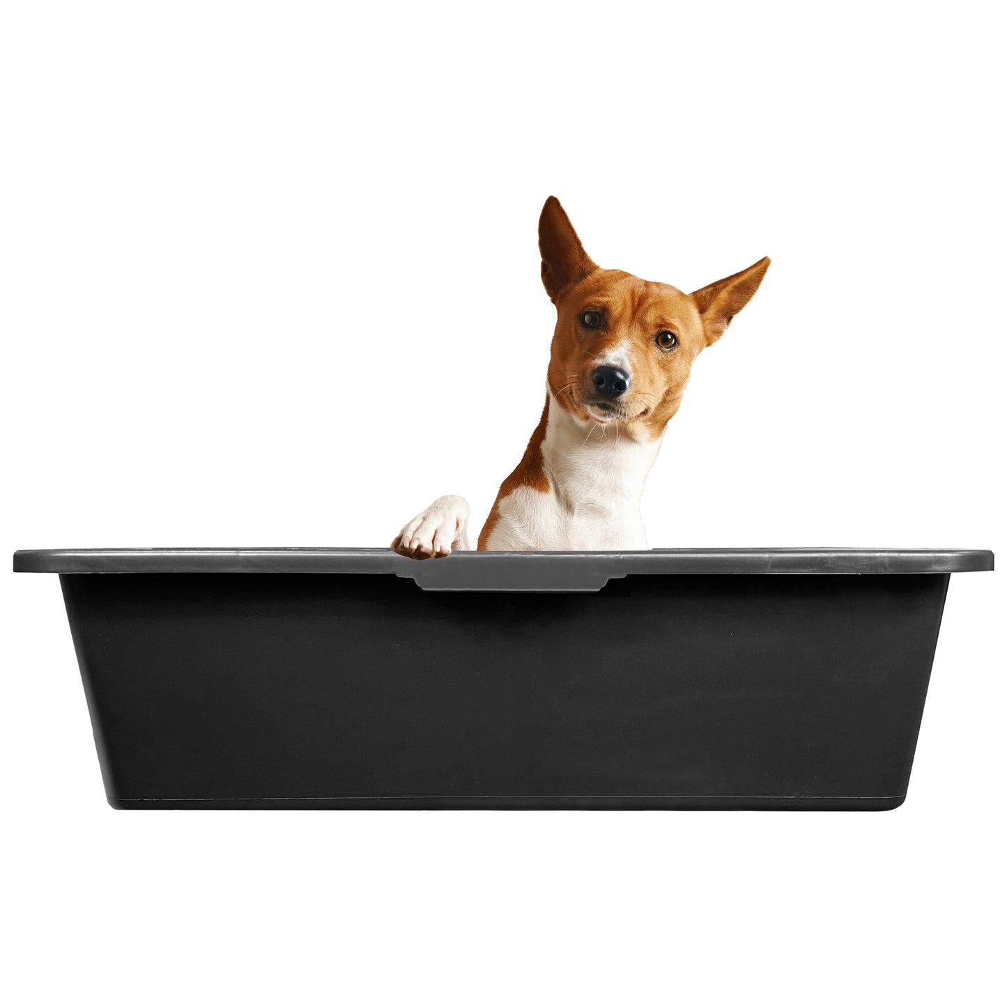 Versatile Large 40L Dog Bath/Pool/Tub - Suitable for Small Dog Breeds - with Drain Plug & Premium Connector - Durable, Easy to Store