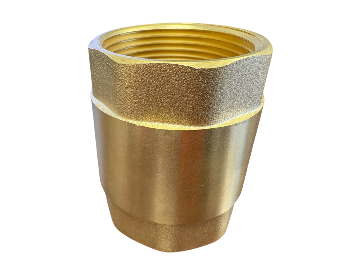 Brass Spring Check Valve 1.5" BSPF