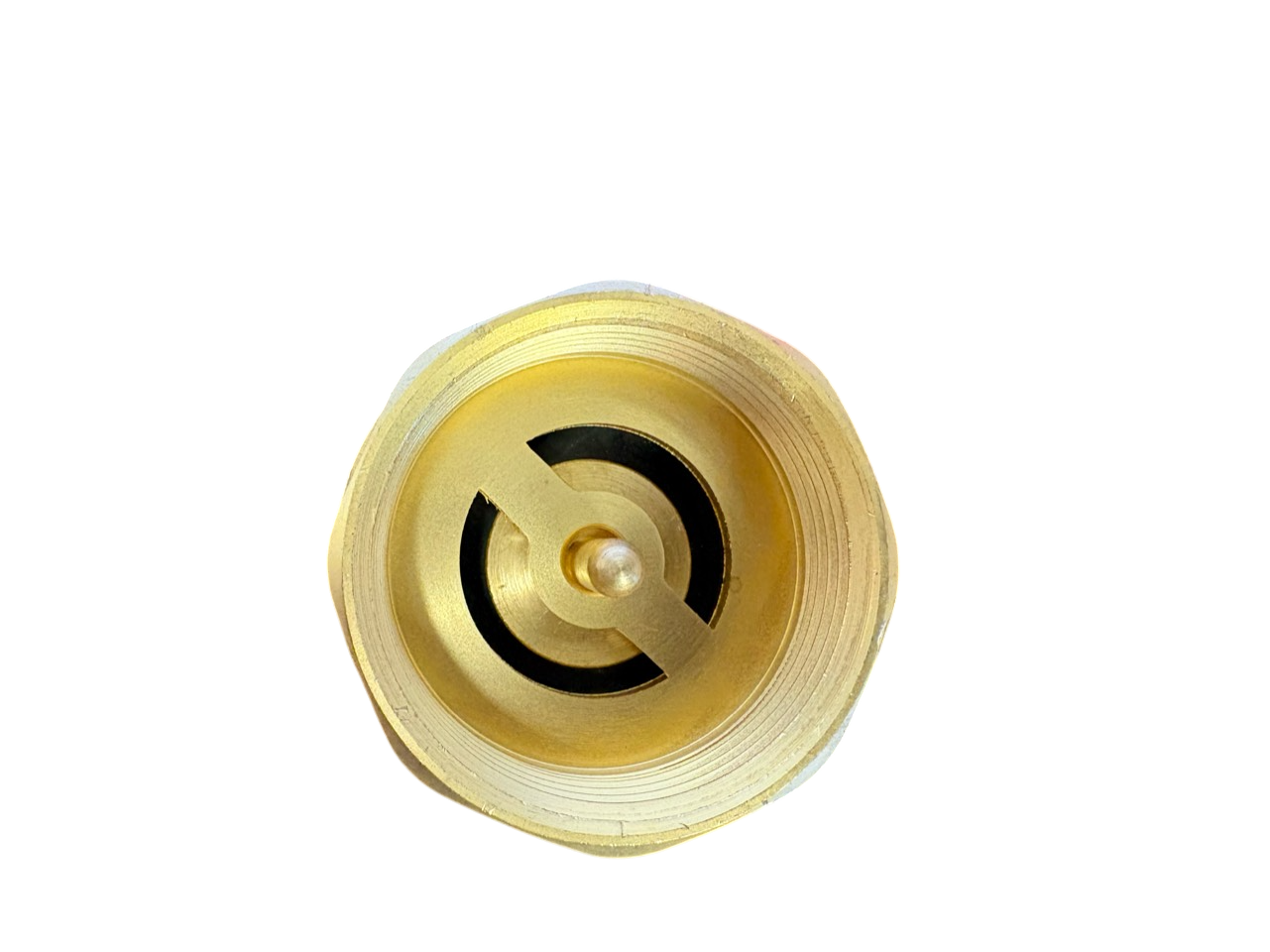 Brass Spring Check Valve 1.25" BSPF