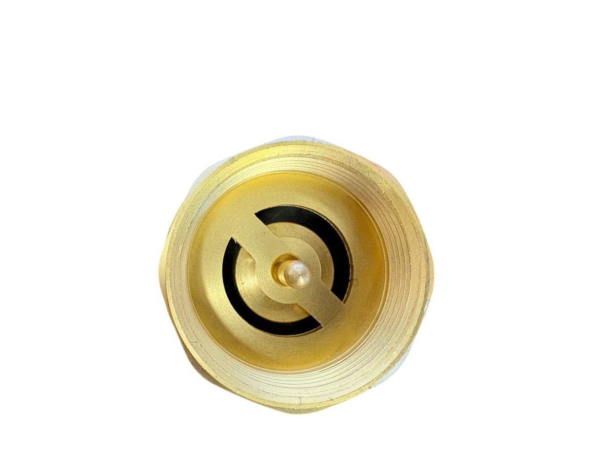 Brass Spring Check Valve 1.5" BSPF