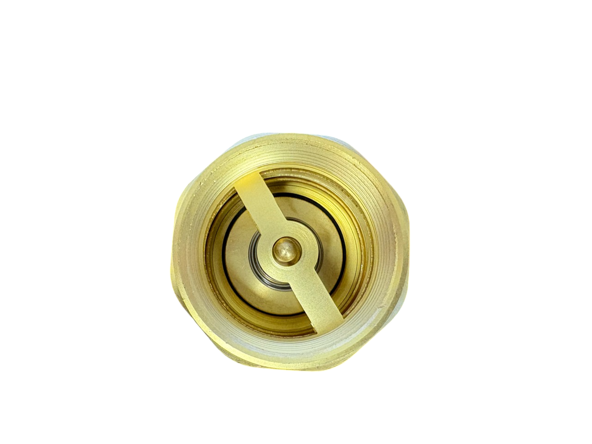 Brass Spring Check Valve 1" BSPF