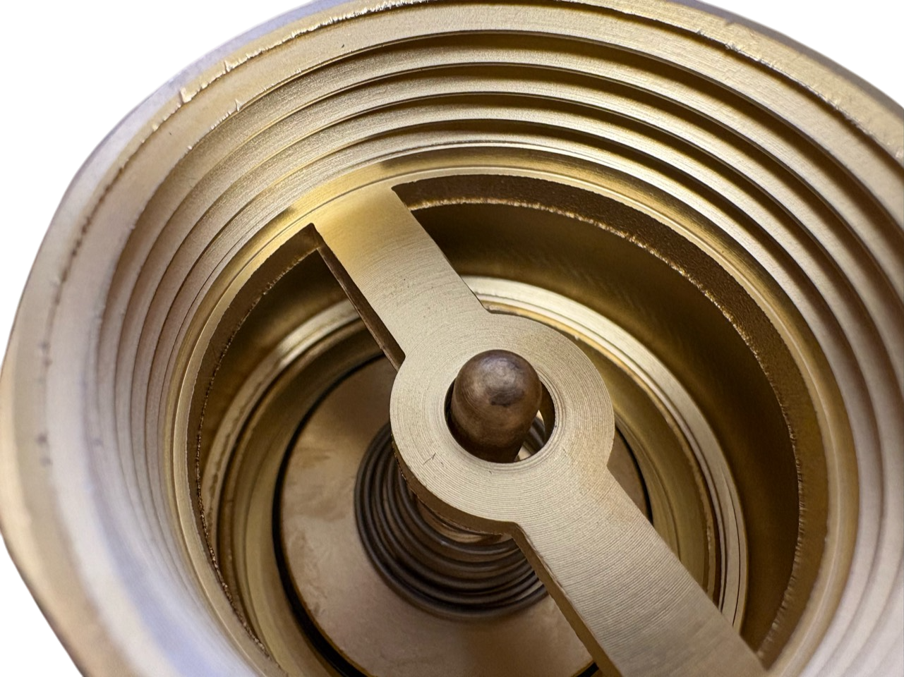 Brass Spring Check Valve 1.25" BSPF