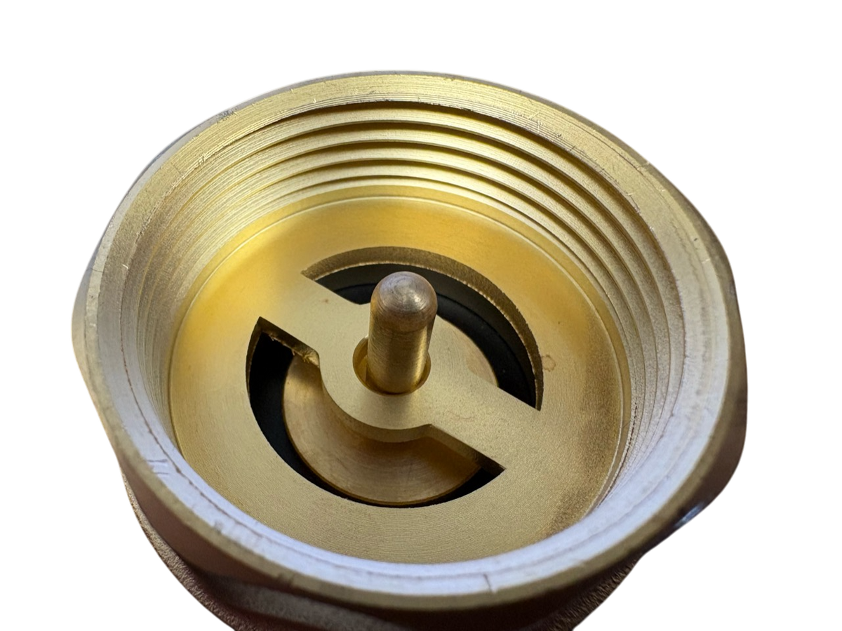 Brass Spring Check Valve 1.5" BSPF