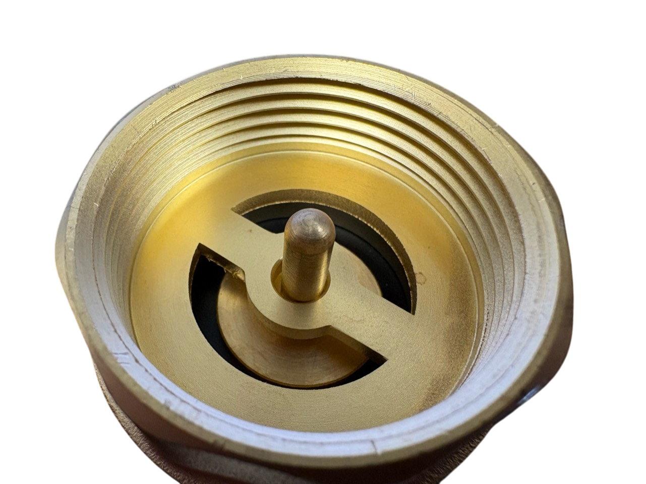 Brass Spring Check Valve 1.25" BSPF