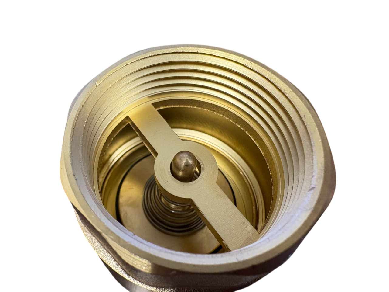 Brass Spring Check Valve 1.25" BSPF