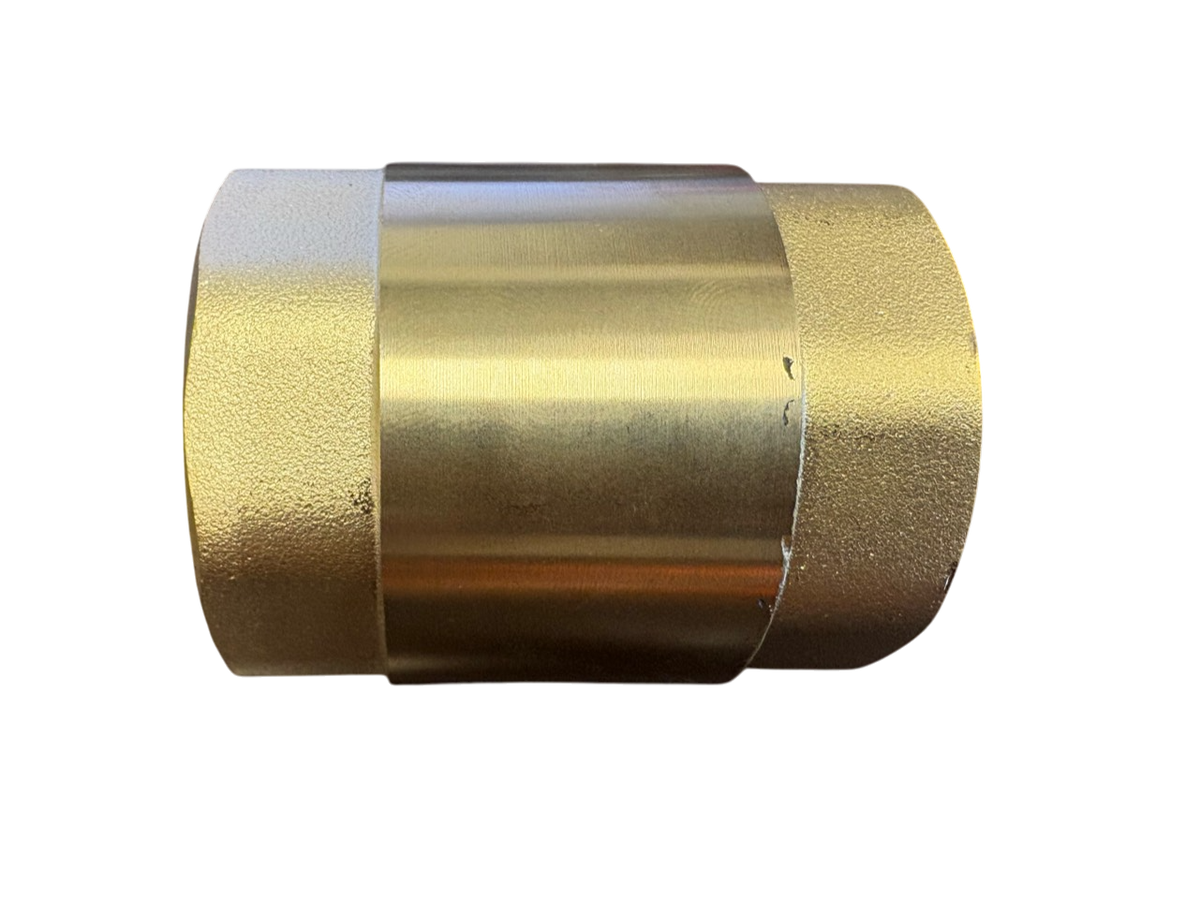 Brass Spring Check Valve 1.5" BSPF