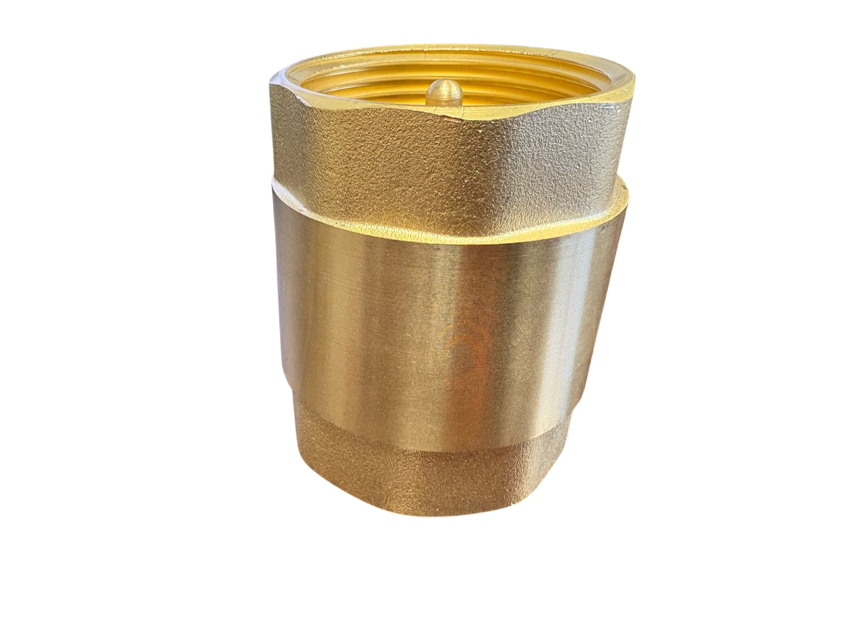 Brass Spring Check Valve 1.5" BSPF