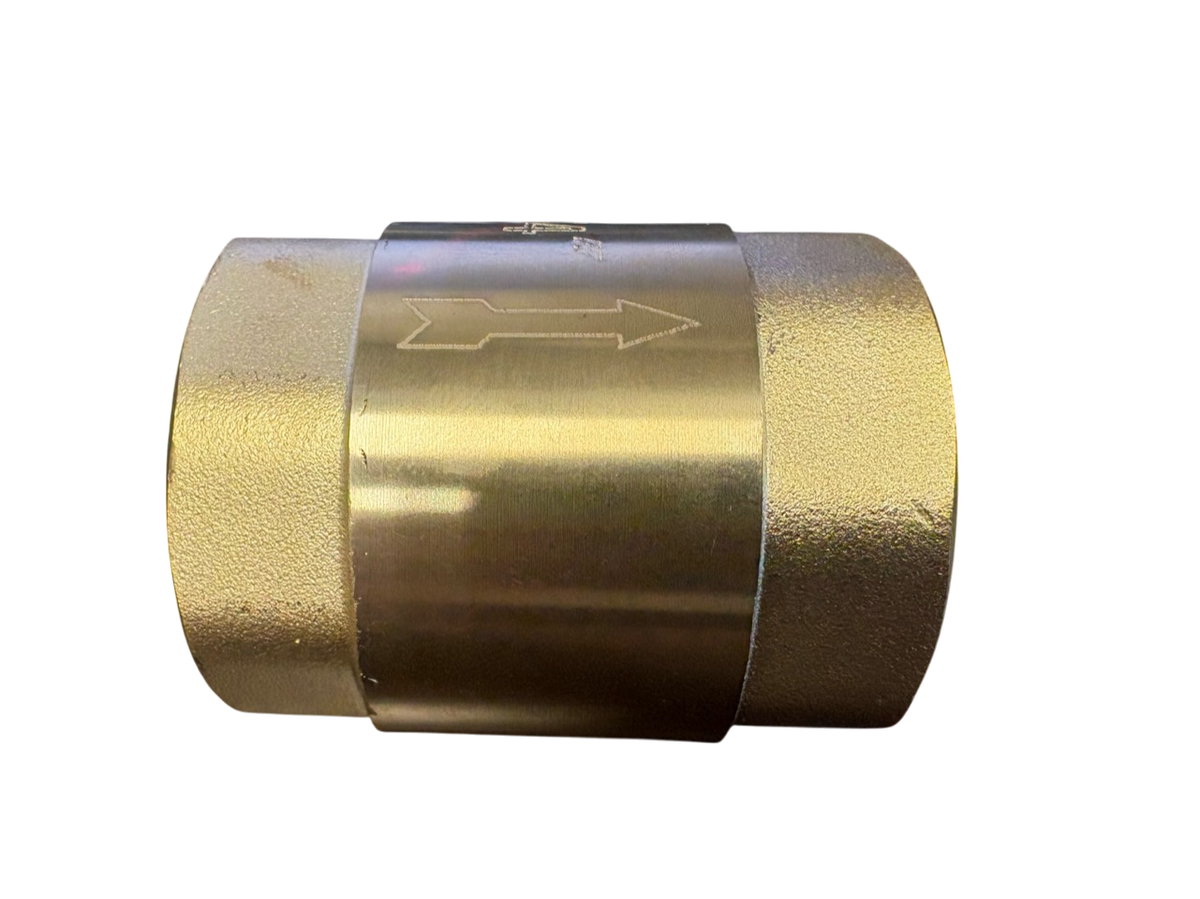 Brass Spring Check Valve 1" BSPF