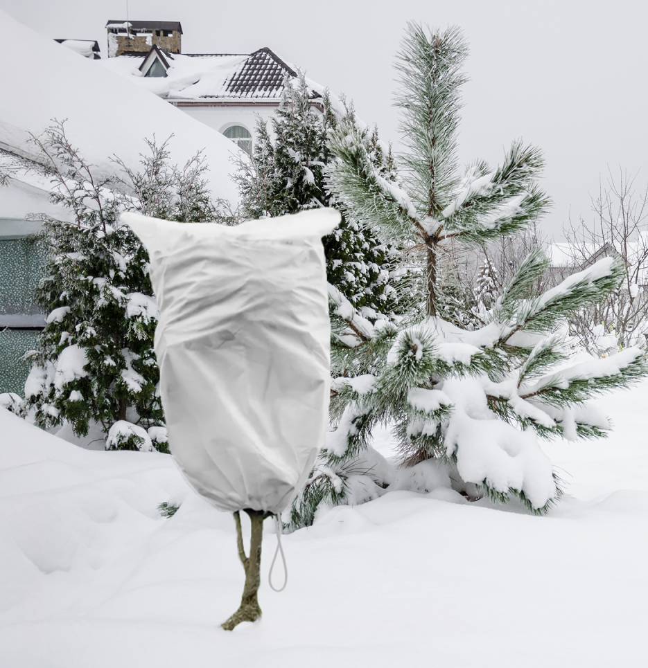 Protective Plant Cover, 50gsm Sack with Cord, Diameter: 57 cm, Size: 0.9m × 1.5m