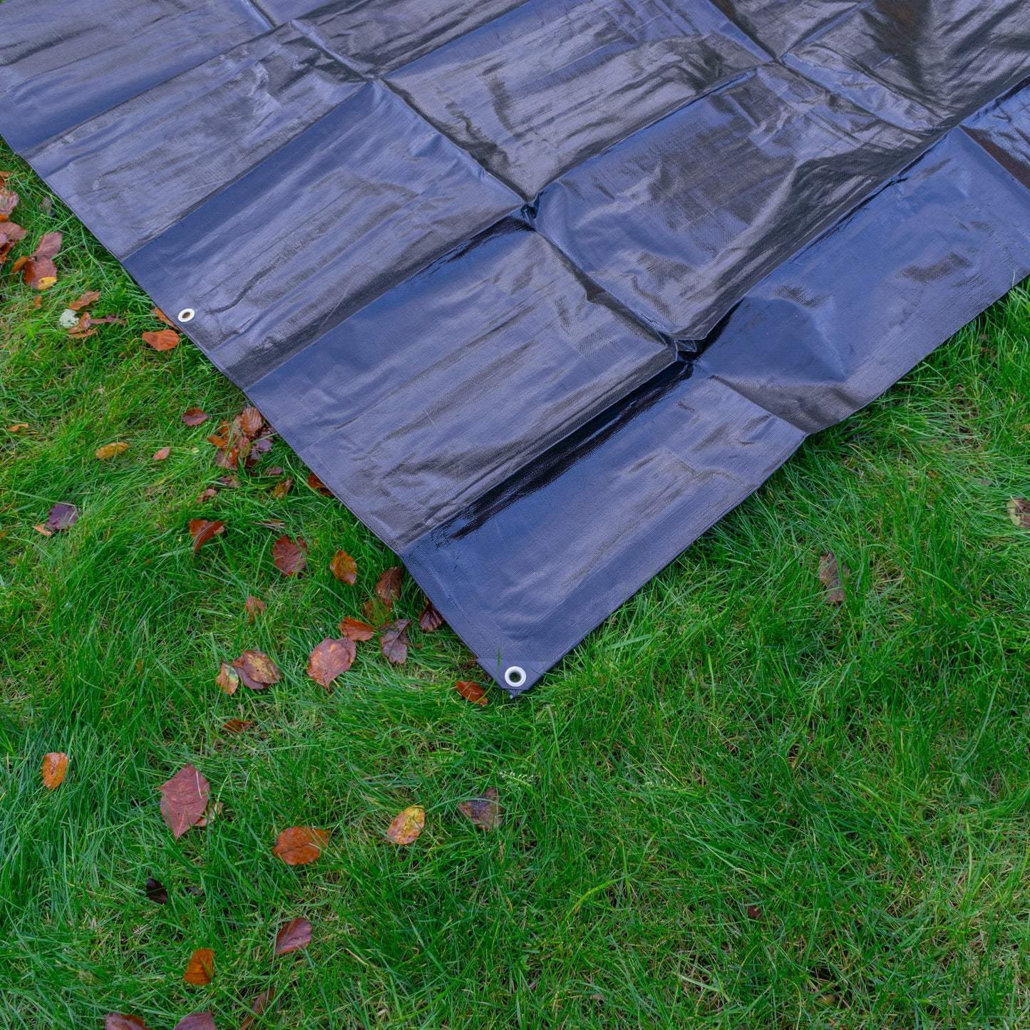 Black/Silver L-Grade Tarpaulin with 20 x 6" Bungee Balls (White)