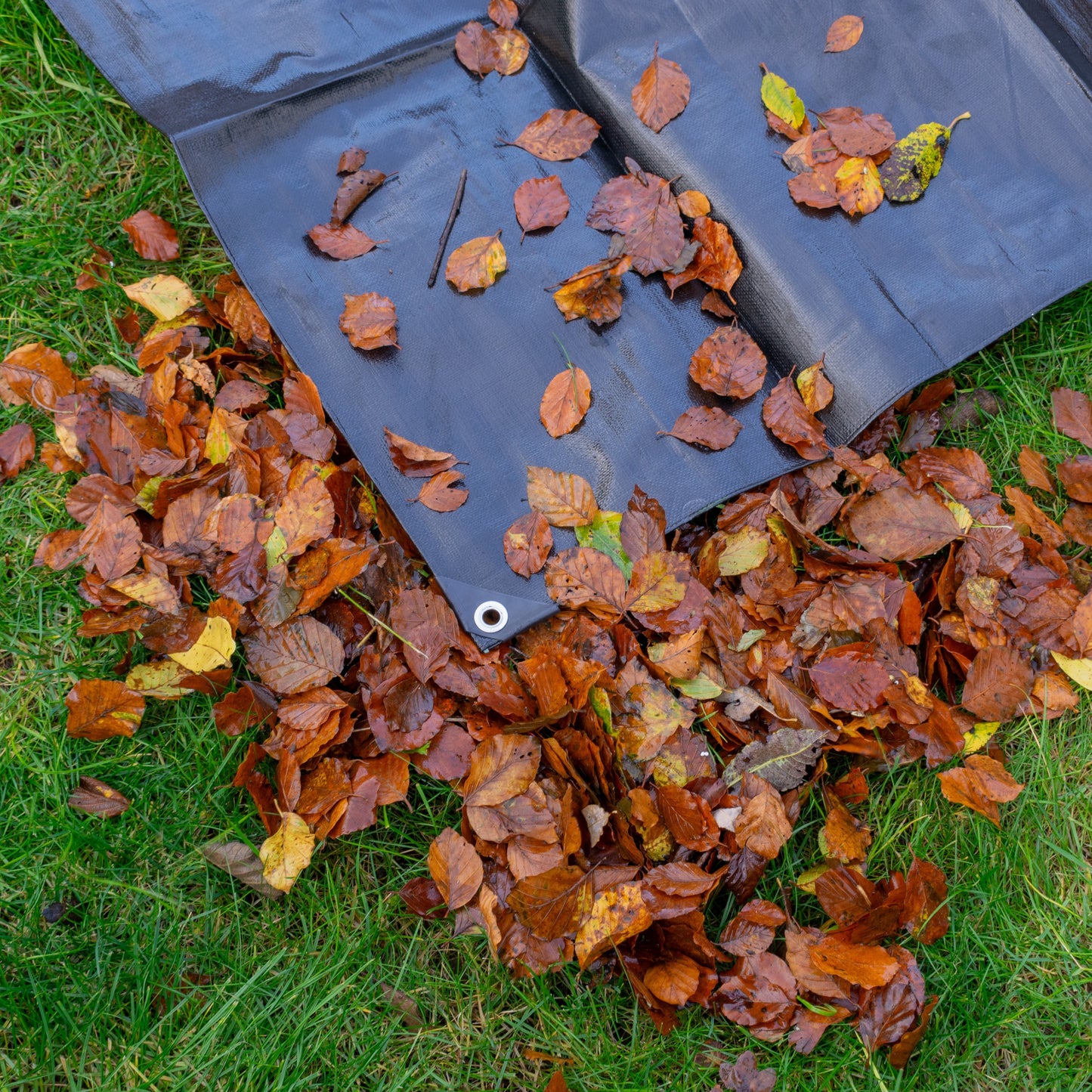 Black/Silver L-Grade Tarpaulin 6m x 10m