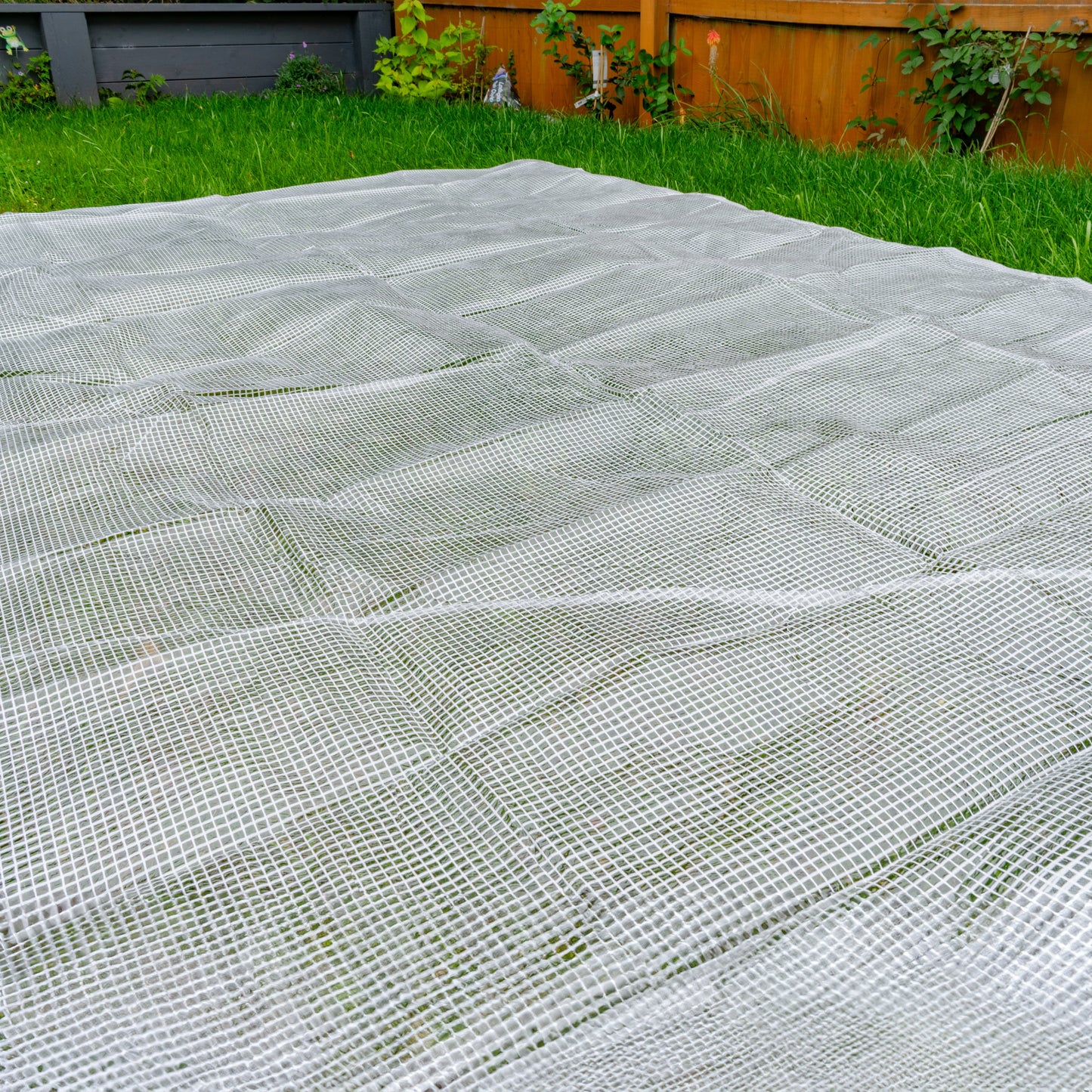 Clear XL-Grade Tarpaulin with 10 x 6" Bungee Balls (Black) and 10 x Screw Type Tarp Clips