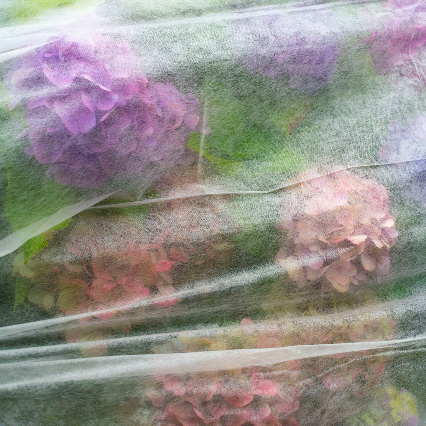 17g Non-Woven Frost Protect Fleece 1.6m x 5m