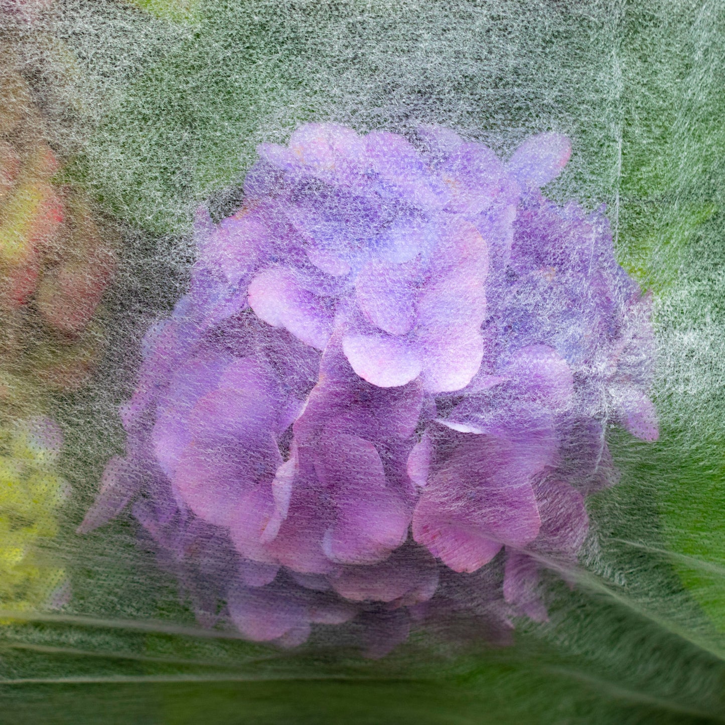 17g Non-Woven Frost Protect Fleece 3.2m x 5m