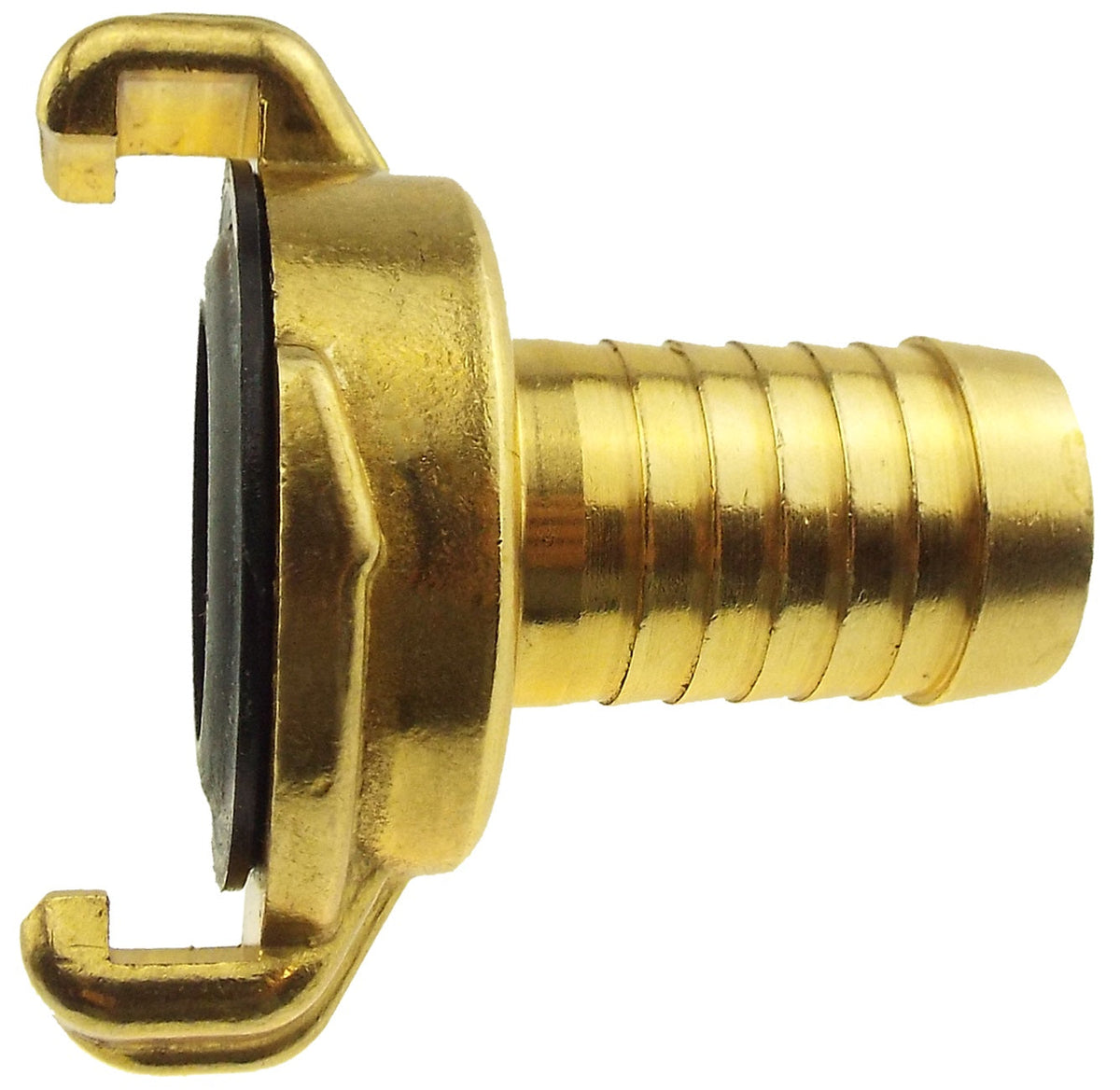 Claw Brass - 3/4" Hose