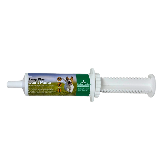 Leap Plus Joint paste 60ml - Global Herbs  - Canine