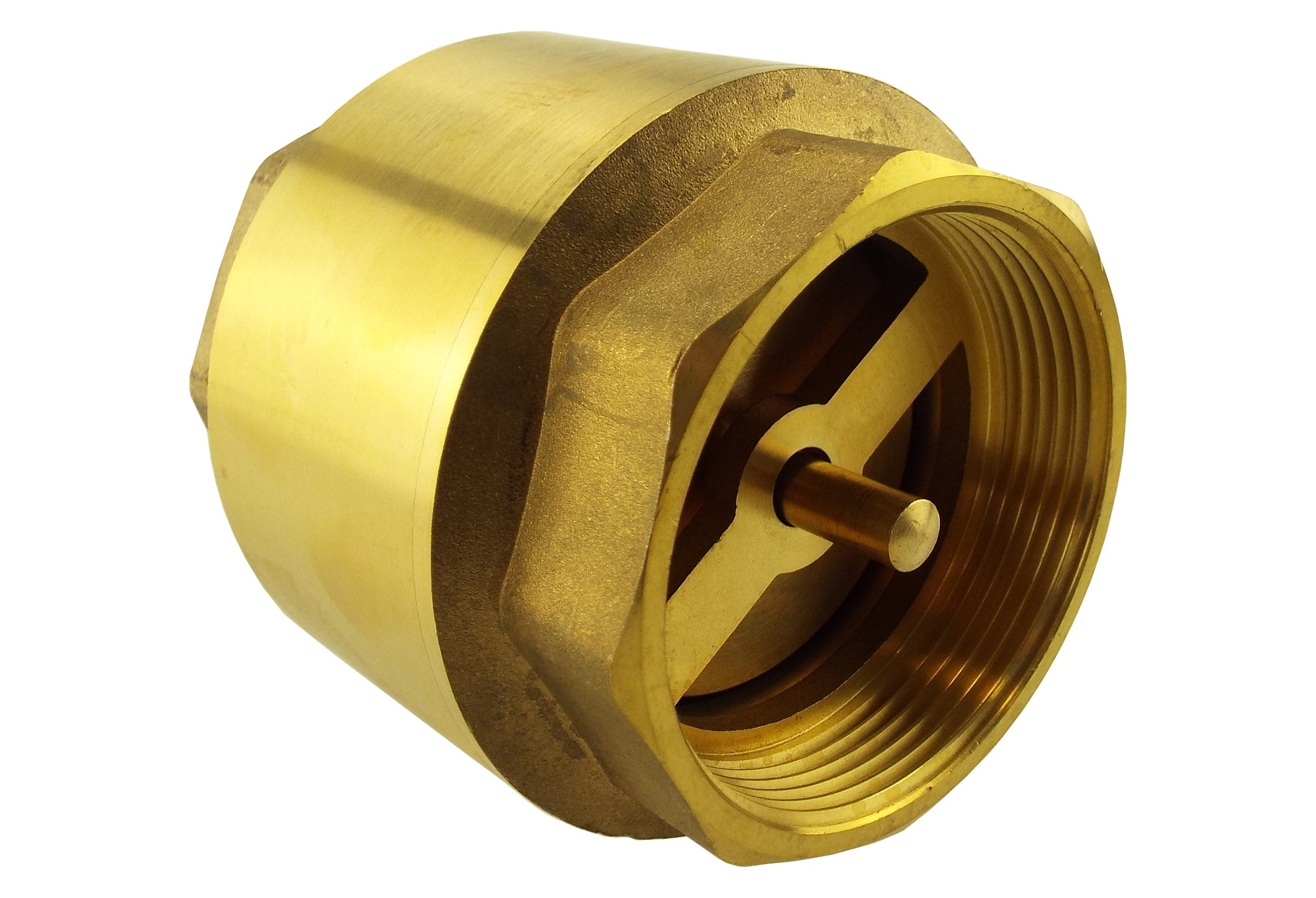 Brass Spring Check Valve 1