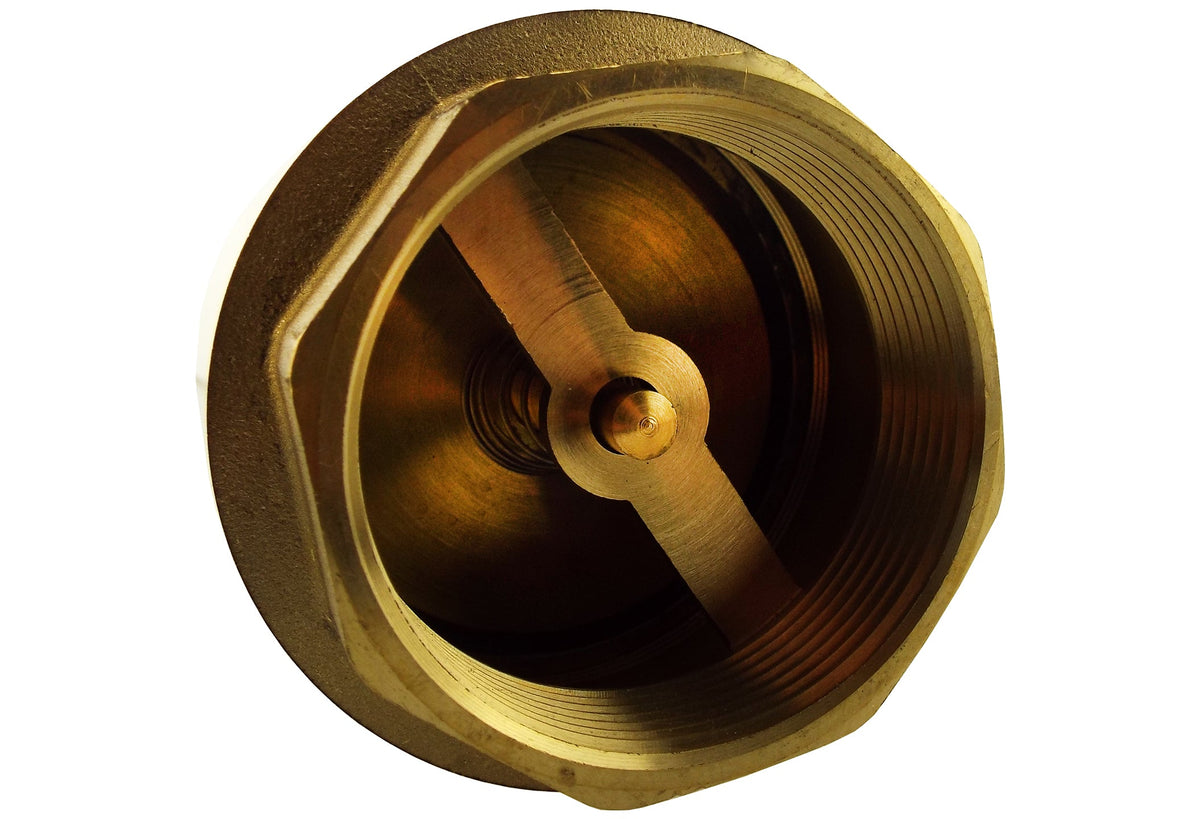 Brass Spring Check Valve 1/2" BSPF
